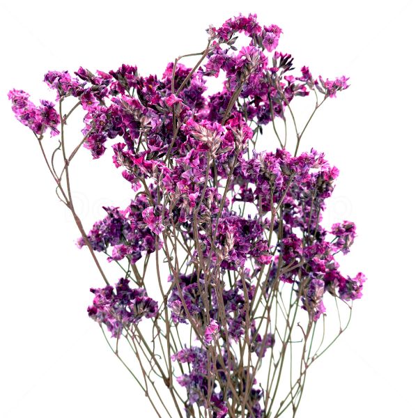 紫色水晶草乾花