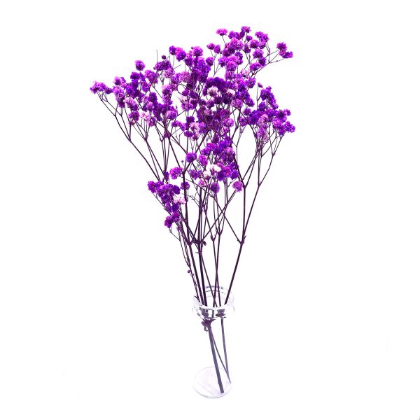 紫色滿天星乾花花束