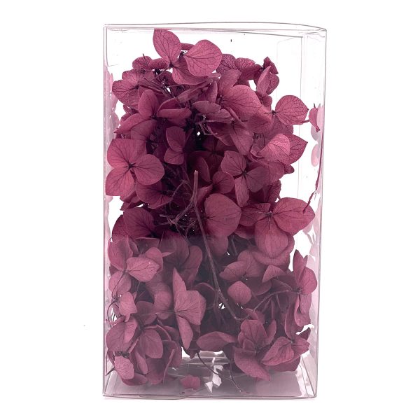 繡球花保鮮花-紫紅色