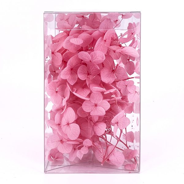 繡球花保鮮花-粉紅色