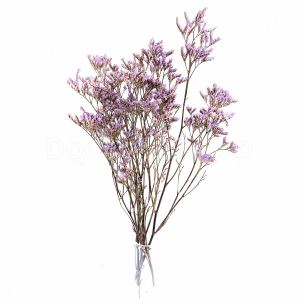 紫色情人草乾花
