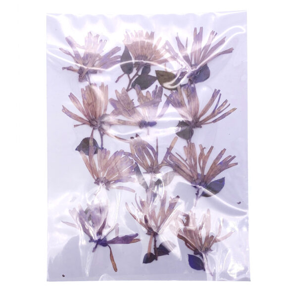 淺紫色檵木花壓花